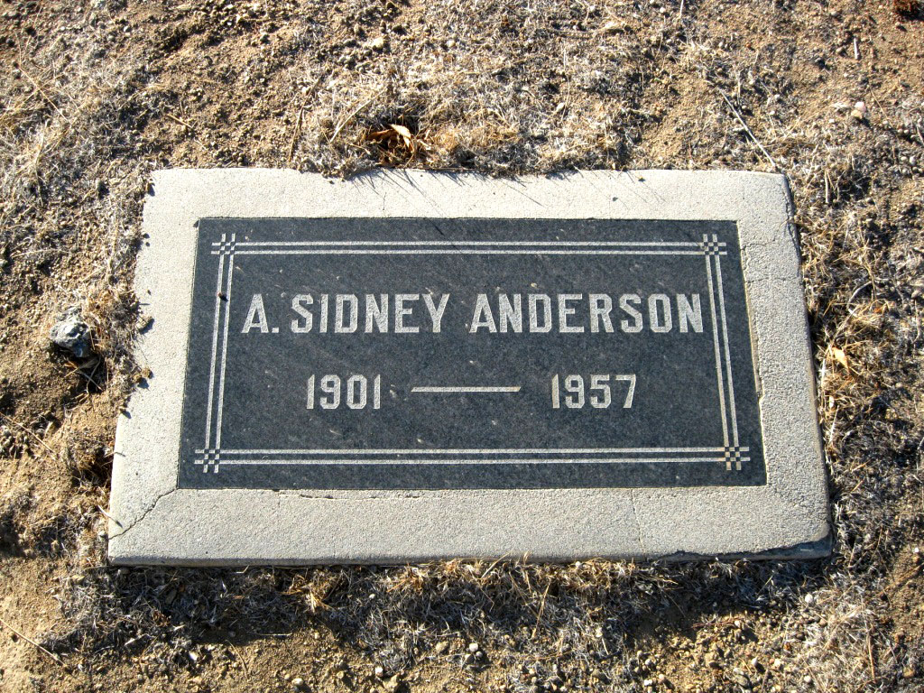 Anderson,  Dr. Arthur Sidney gravesite