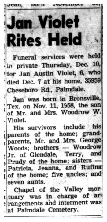 Violet,   Jan Austin obituary