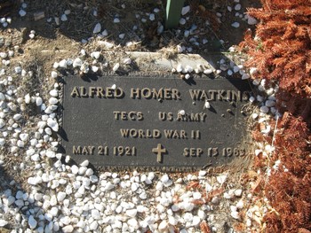 Watkins, Alfred Homer gravesite