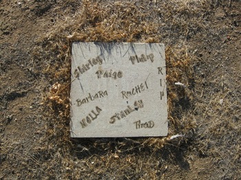 Spinks,   Paige K. gravesite